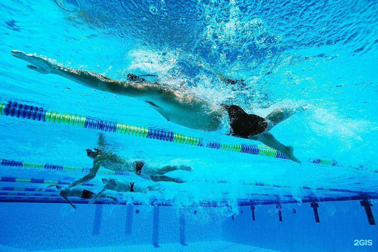 Отзывы на компанию Дельфин в г. Владимир c фото