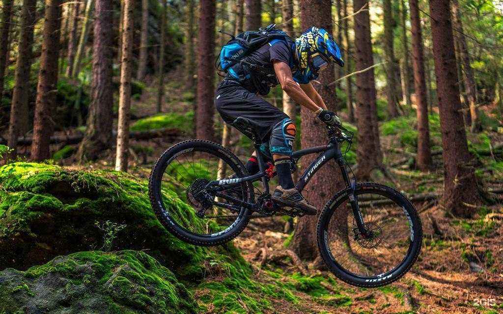 Отзывы на компанию Bibibike Kzn в Казани c фото