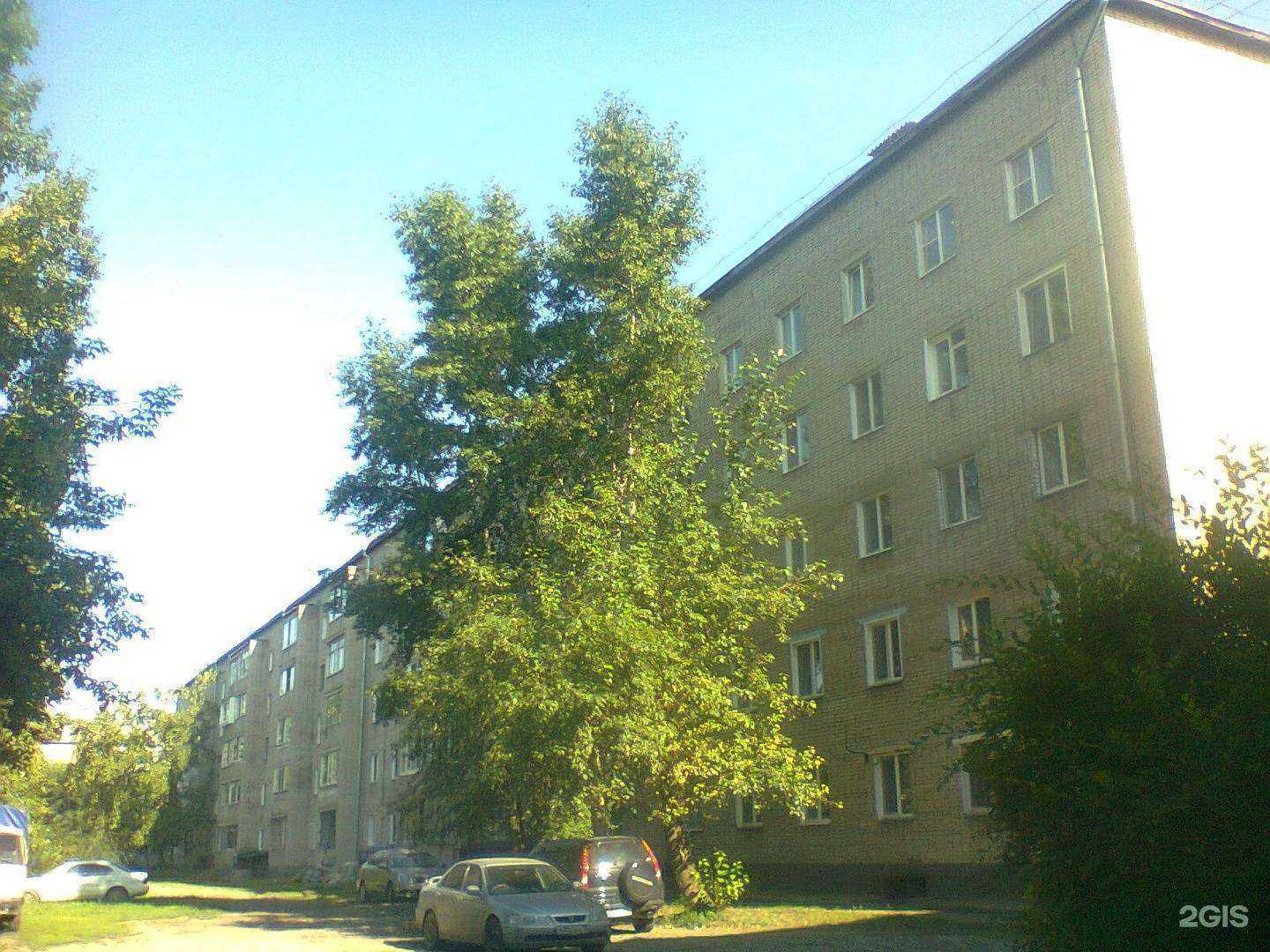 Отзывы на компанию Палитра в Абакане c фото - фотография 2 из 2