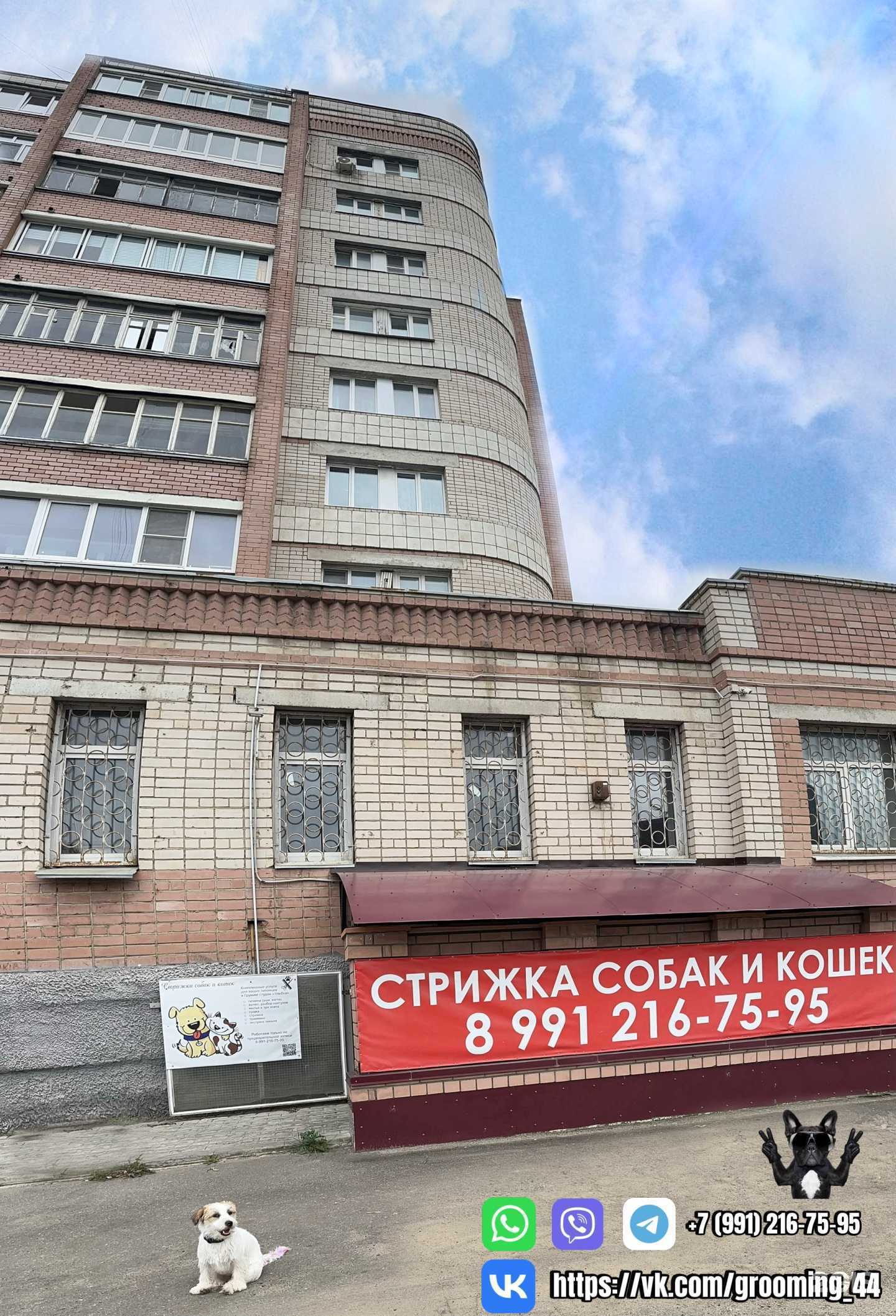 Отзывы на компанию Улыбка в г. Кострома c фото