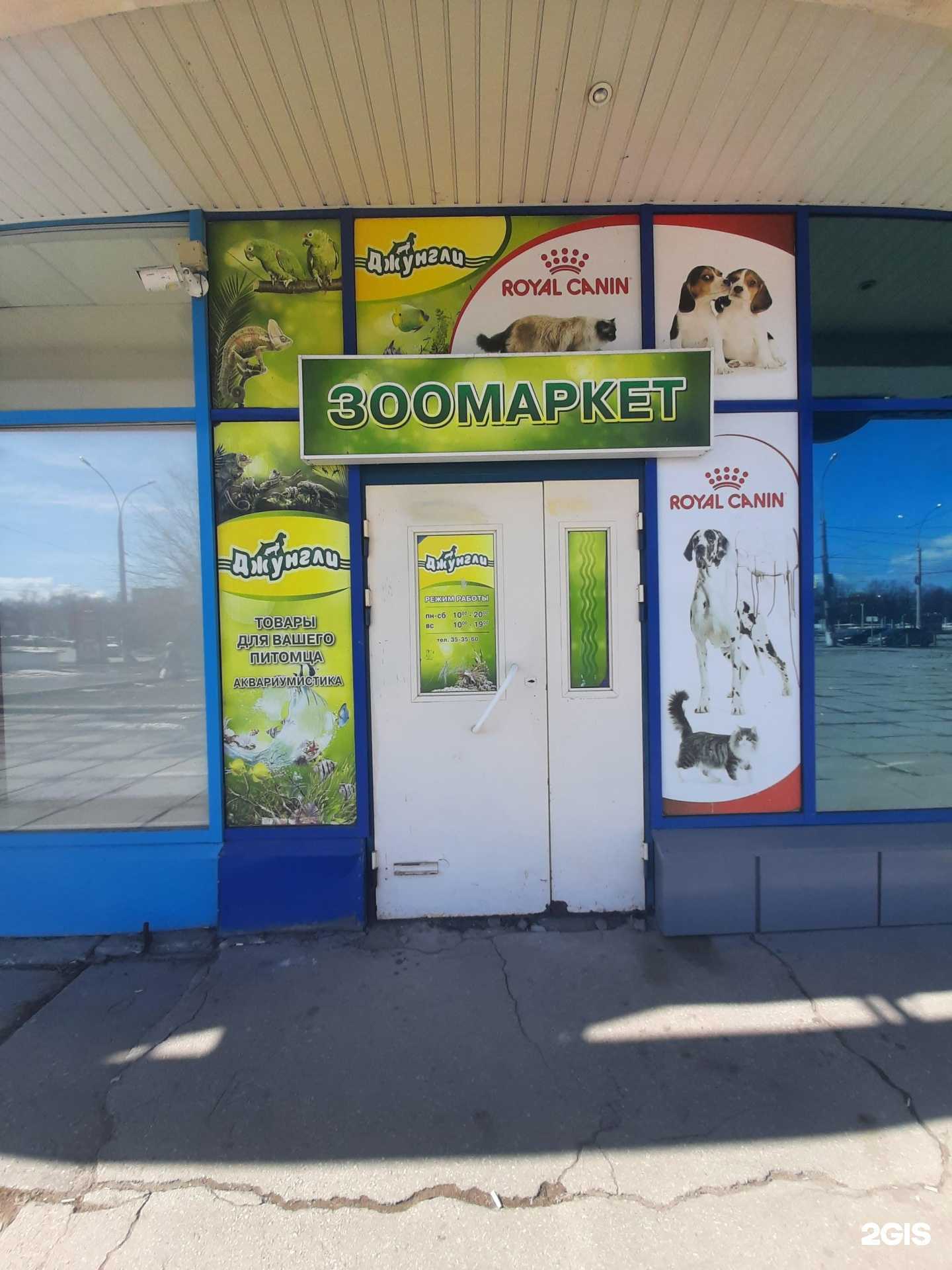 Отзывы на компанию Джунгли в г. Тольятти c фото