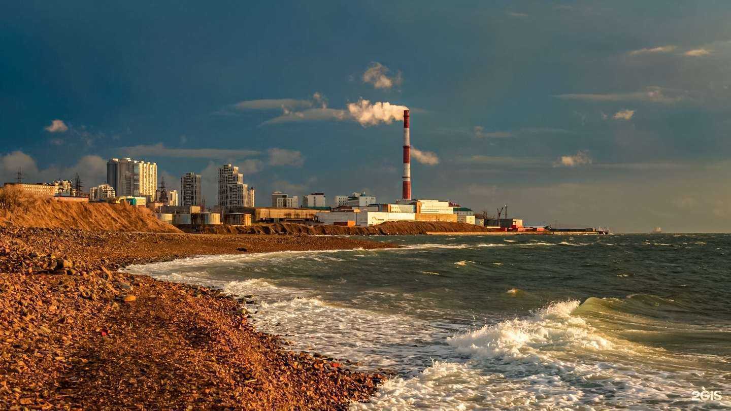 Отзывы на компанию Самураюшка в Владивостоке c фото - фотография 2 из 2