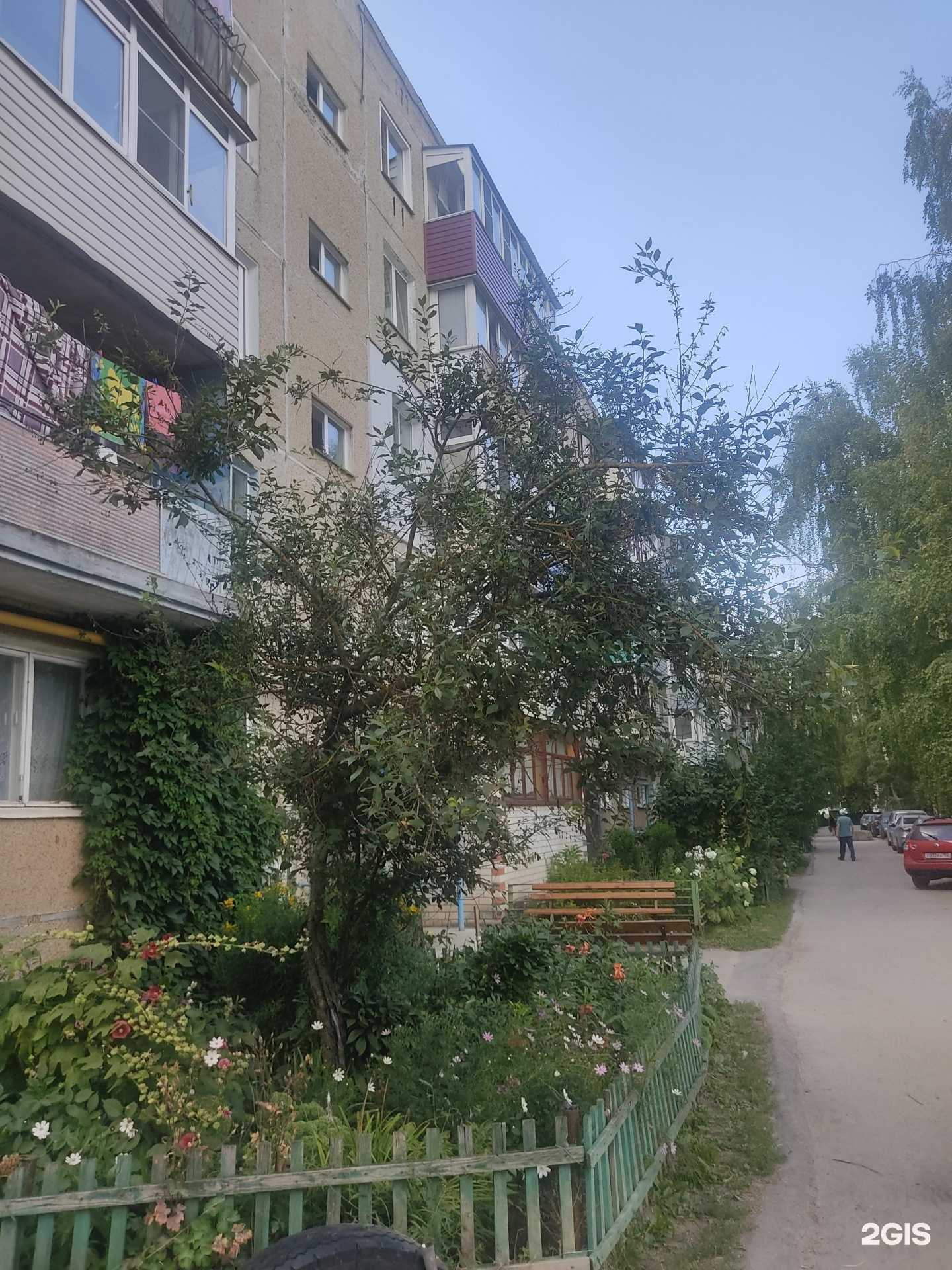 Отзывы на компанию Здоровая семья в Арзамасе c фото - фотография 2 из 2