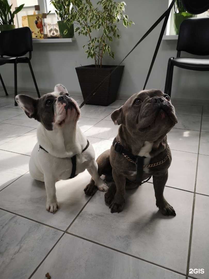 Отзывы на компанию Восток в г. Калининград c фото