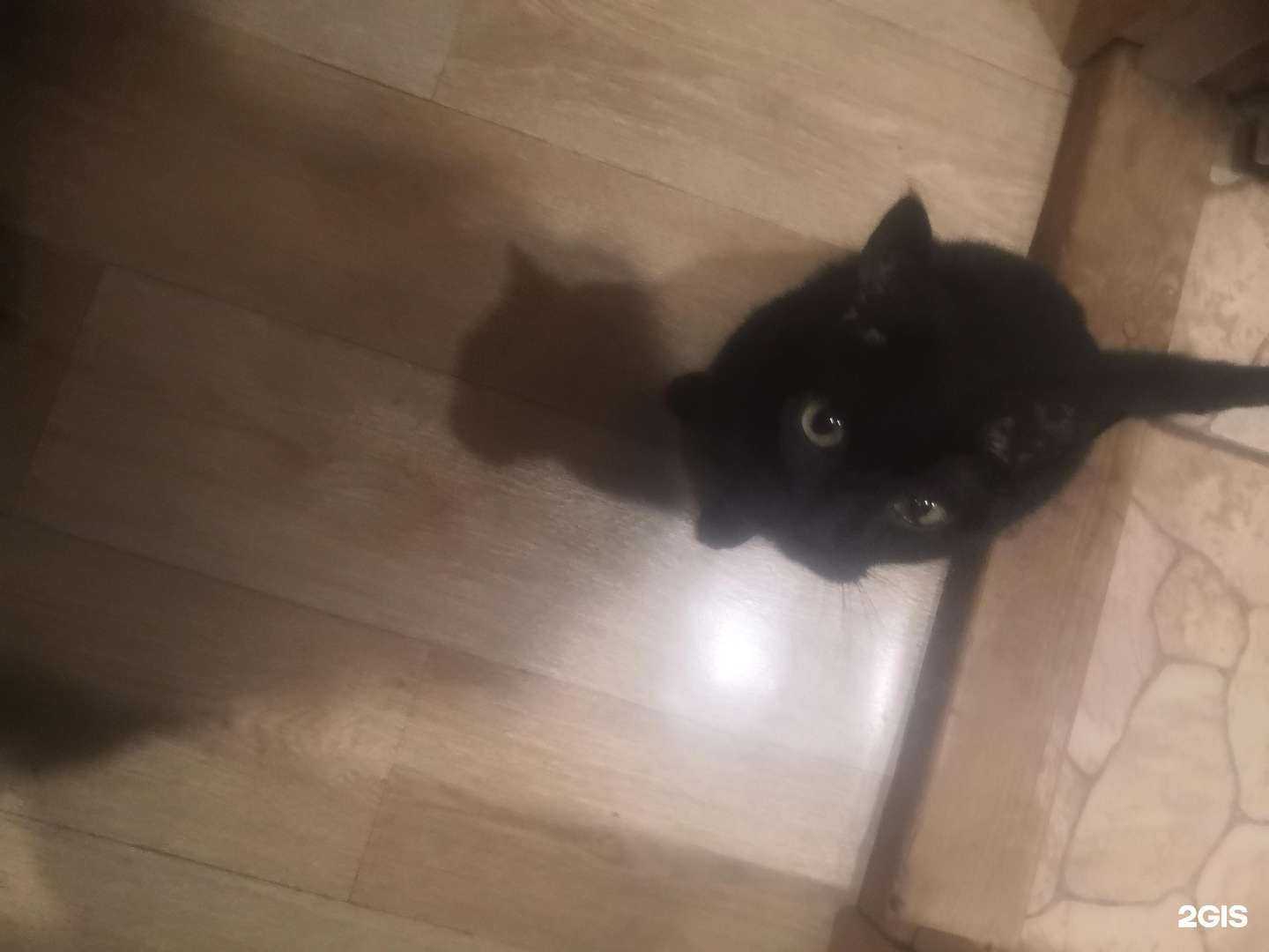 Отзывы на компанию Умка в Иркутске c фото