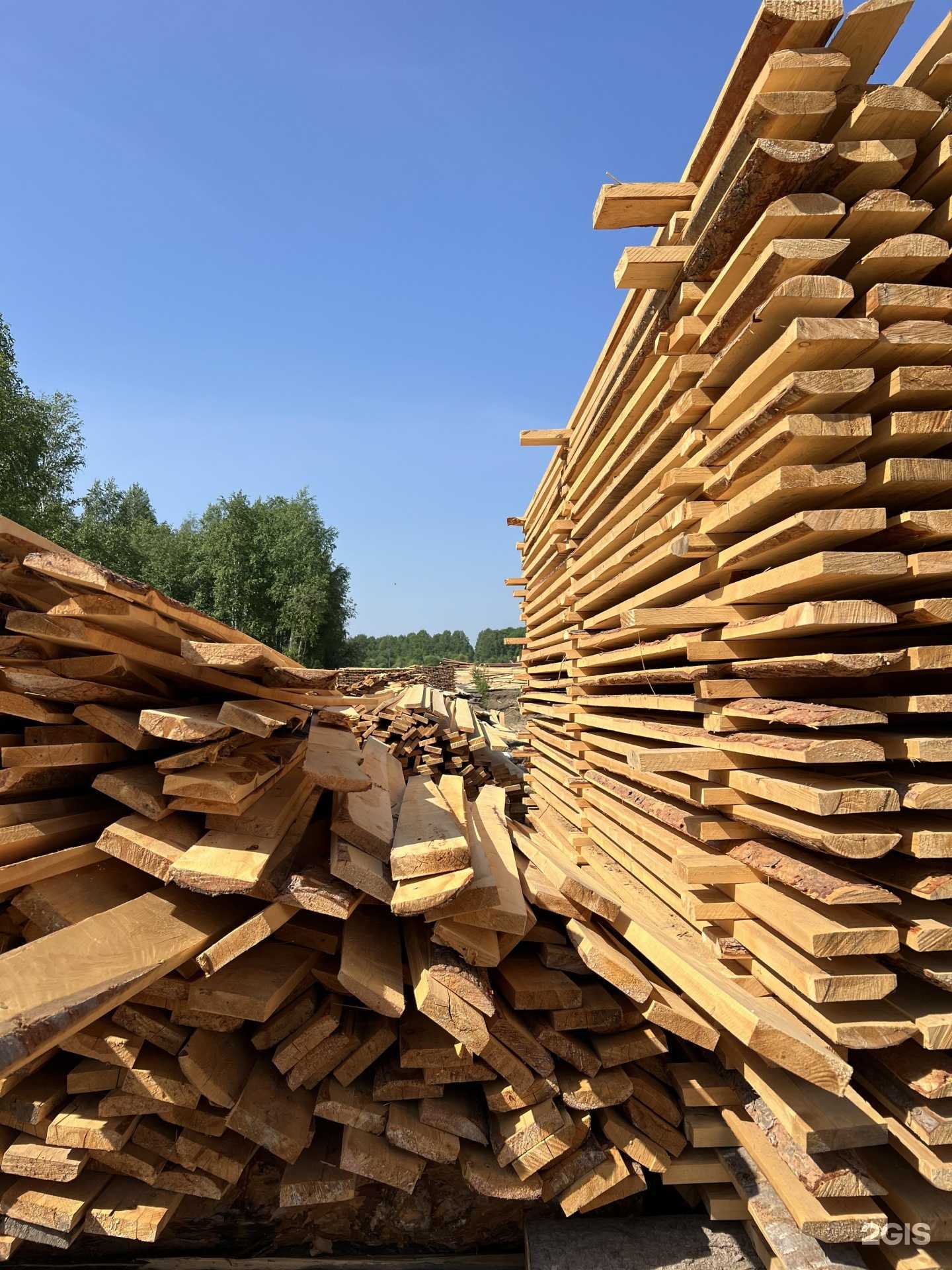 Отзывы на компанию Планета Леса в г. Омск c фото