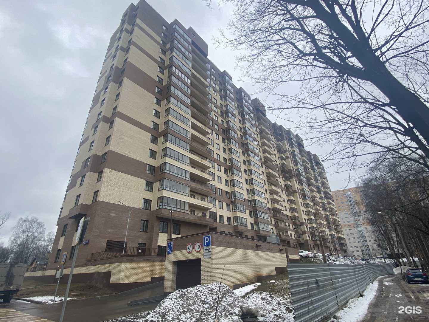 Отзывы на компанию Месье Дог в Красногорске c фото - фотография 2 из 2