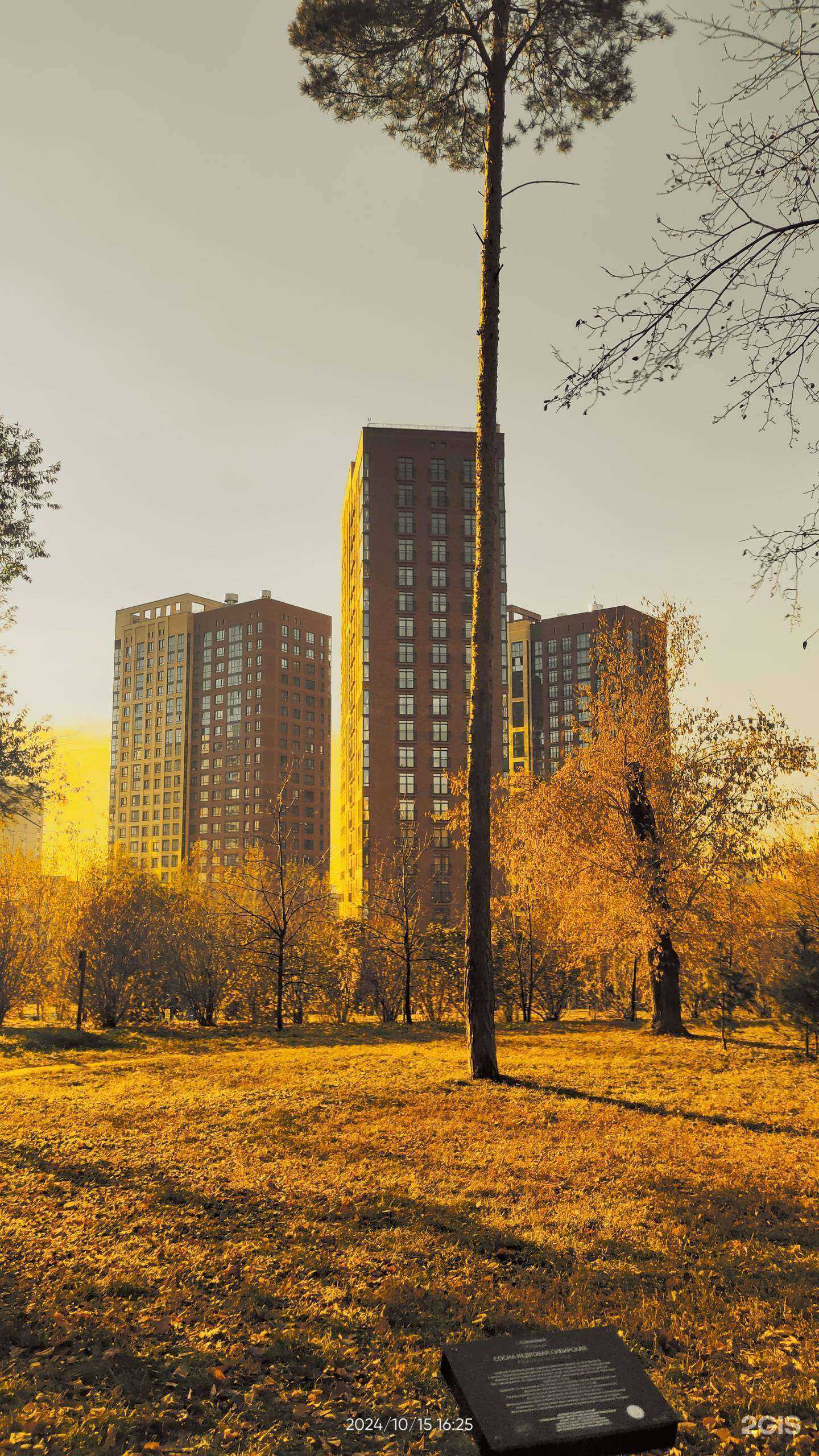 Отзывы на компанию Страховой агент в г. Новосибирск c фото