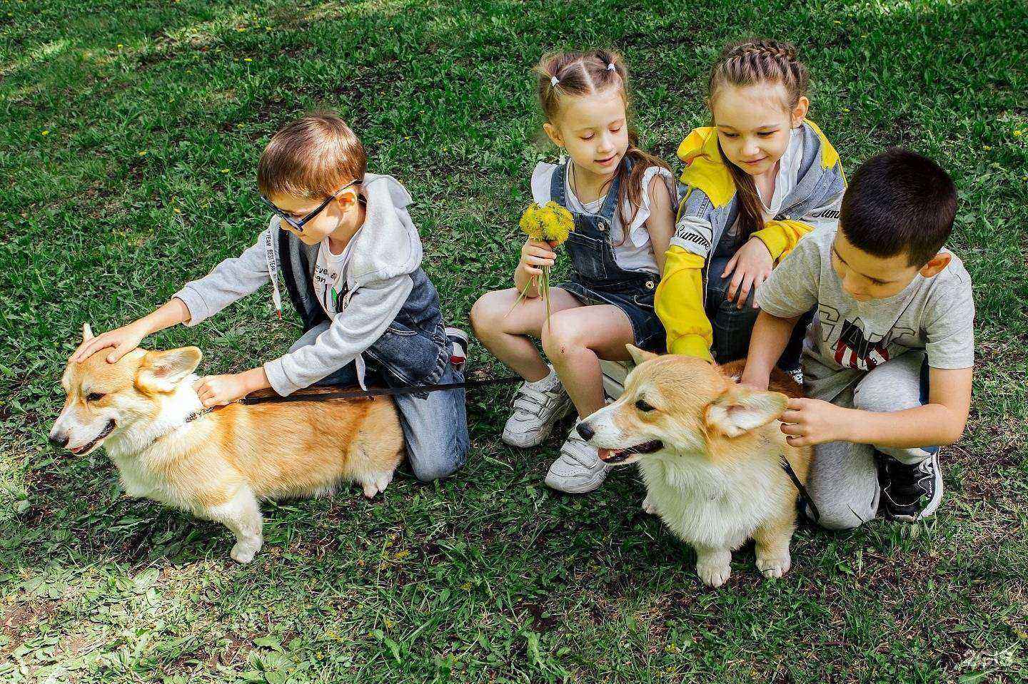 Отзывы на компанию Арниа в Новосибирске c фото