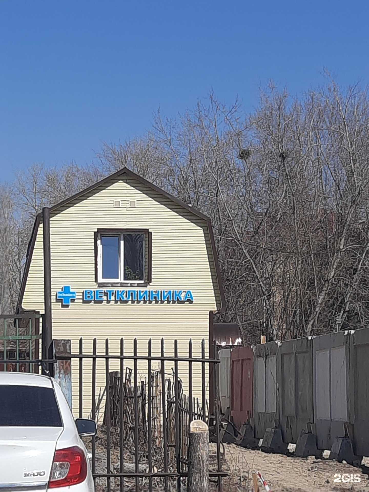 Отзывы на компанию ВетЭндоЦентр в Омске c фото - фотография 2 из 2