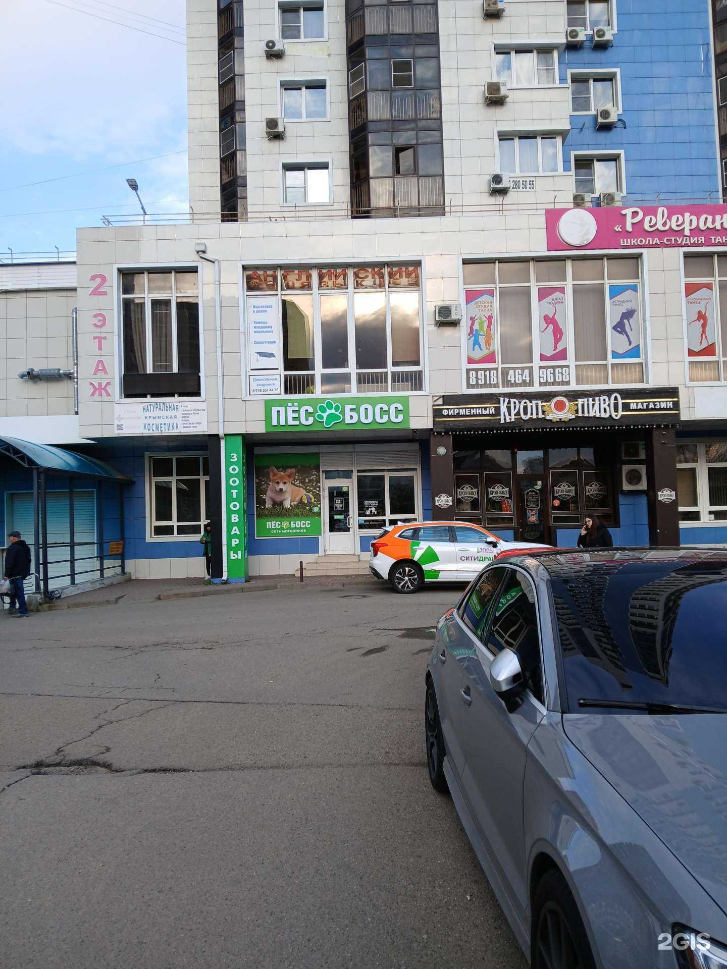 Отзывы на компанию Пёс-Босс в г. Краснодар c фото