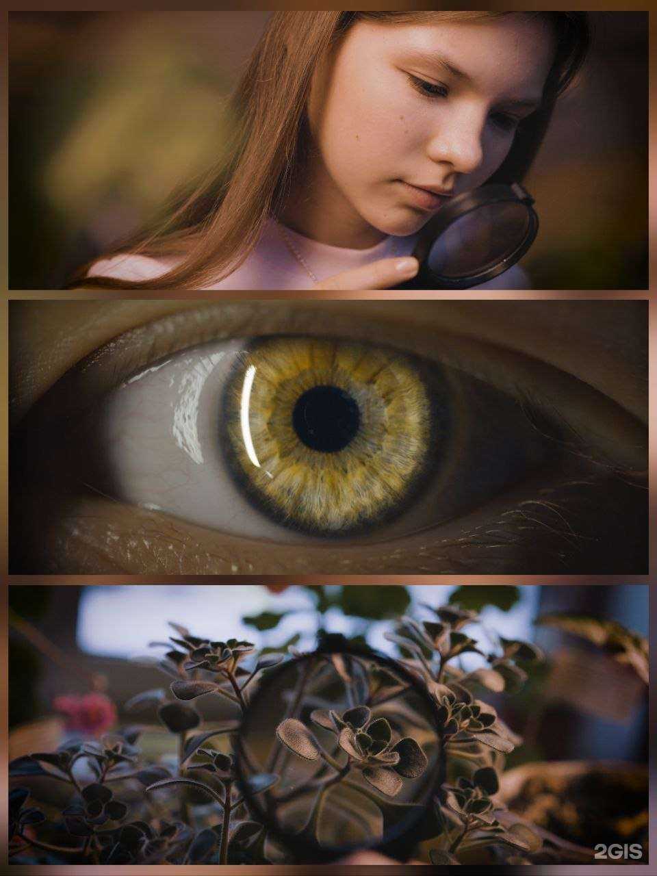 Отзывы на компанию GreenLife cinema в Перми c фото