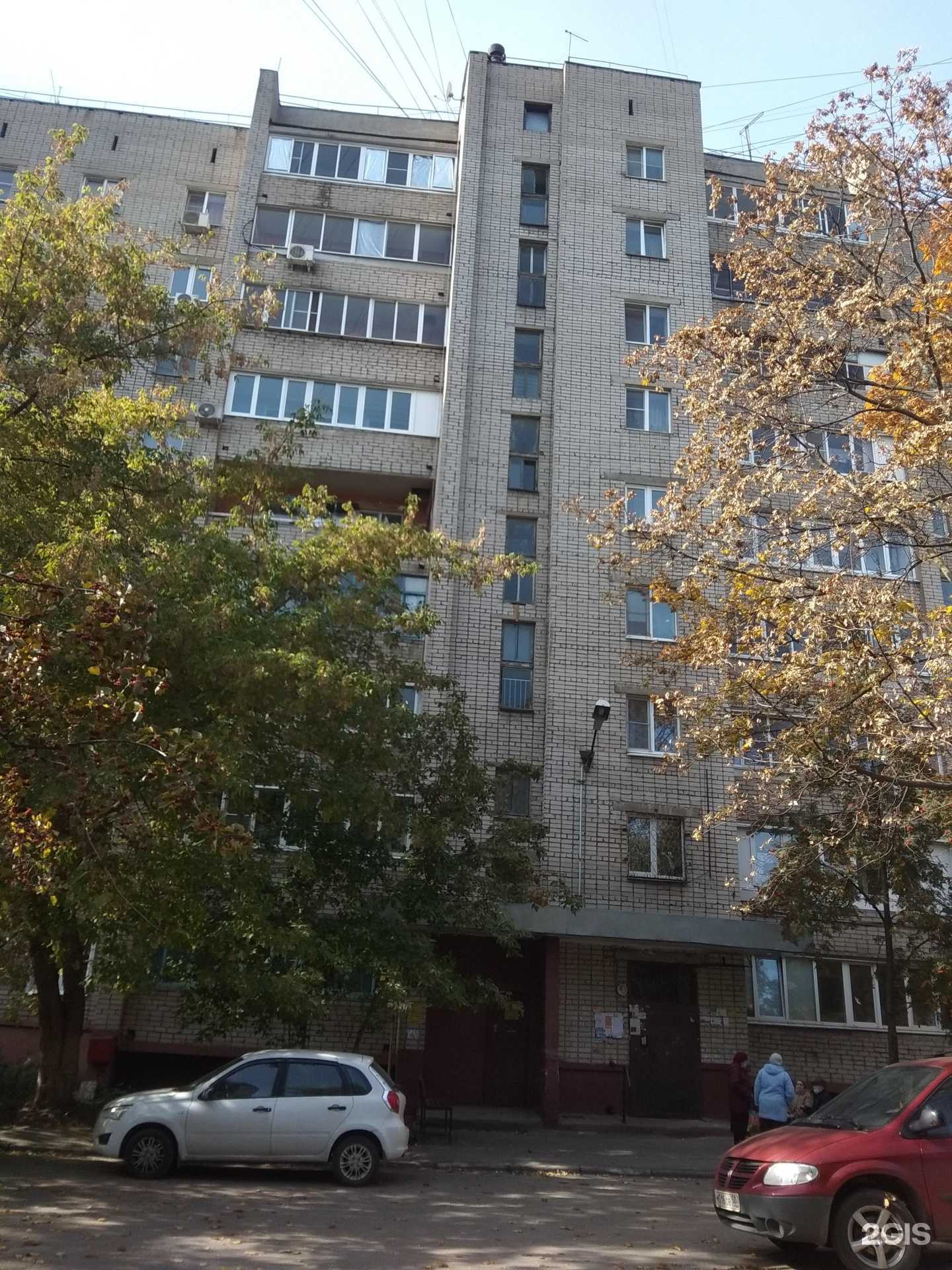 Отзывы на компанию Социалочка в Липецке c фото - фотография 2 из 2