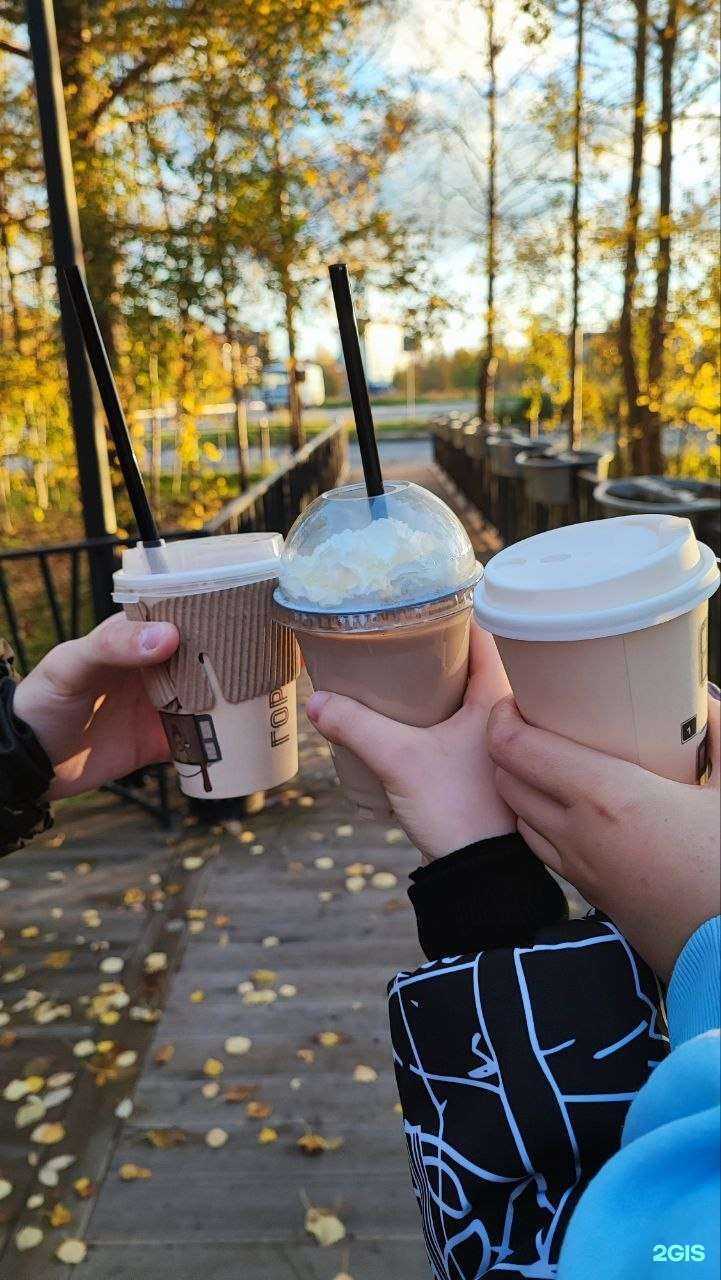 Отзывы на компанию Pro английский в г. Ноябрьск c фото