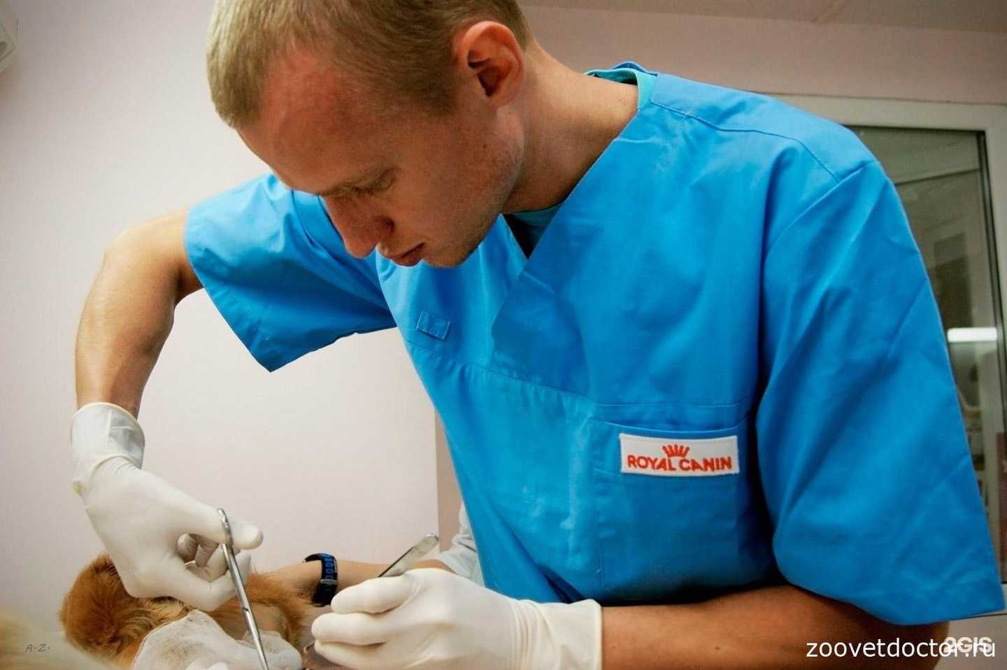 Отзывы на компанию ZooДоктор в Брянске c фото