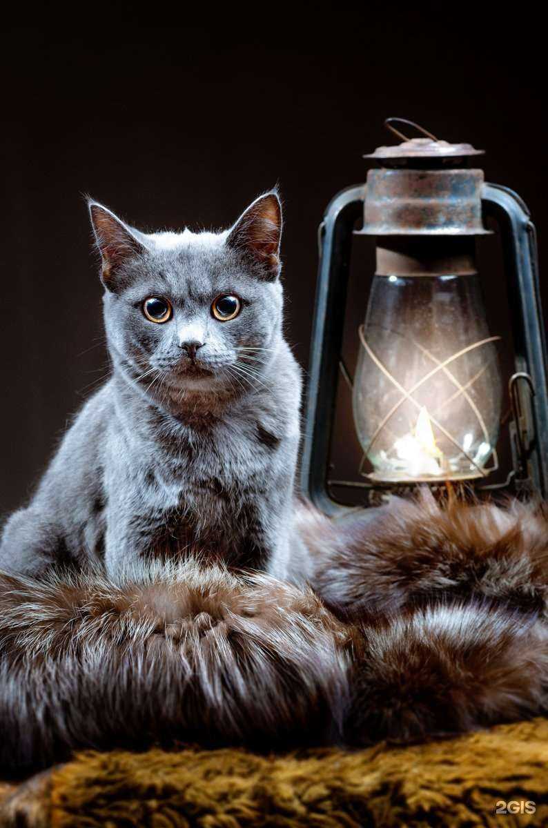 Отзывы на компанию Люкс в г. Омск c фото