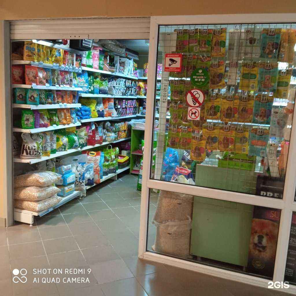 Отзывы на компанию Любимые звери в Калининграде c фото