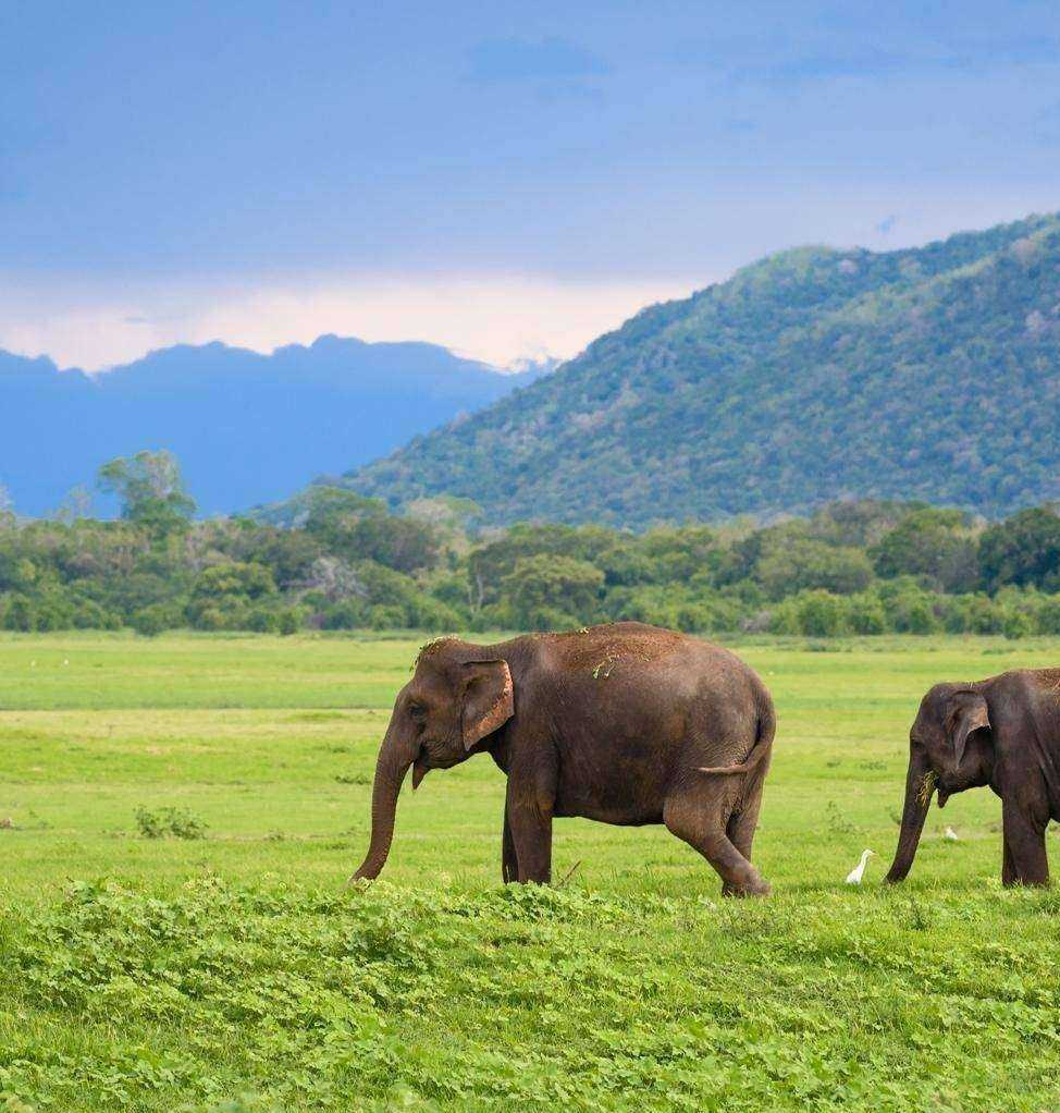 Отзывы на компанию Anex tour в Уфе c фото