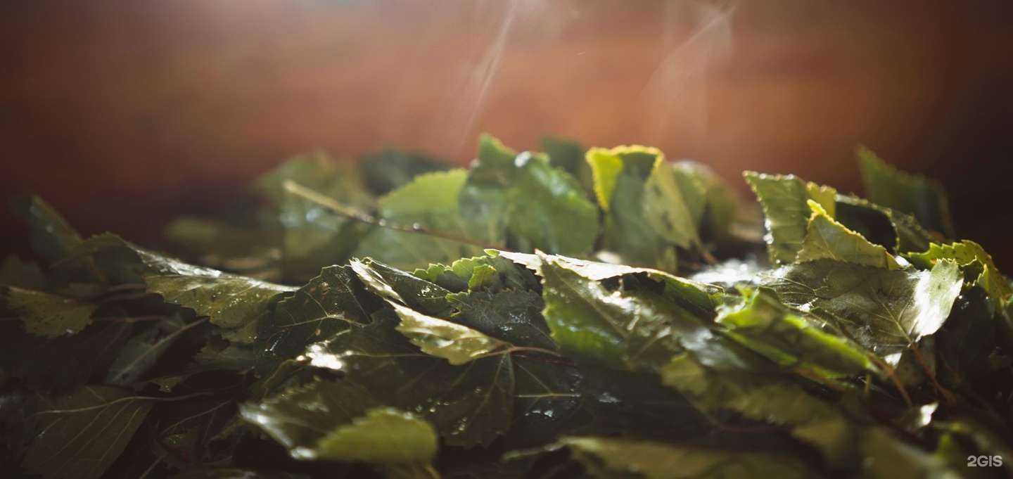 Отзывы на компанию Баня на Фрунзе в г. Тверь c фото