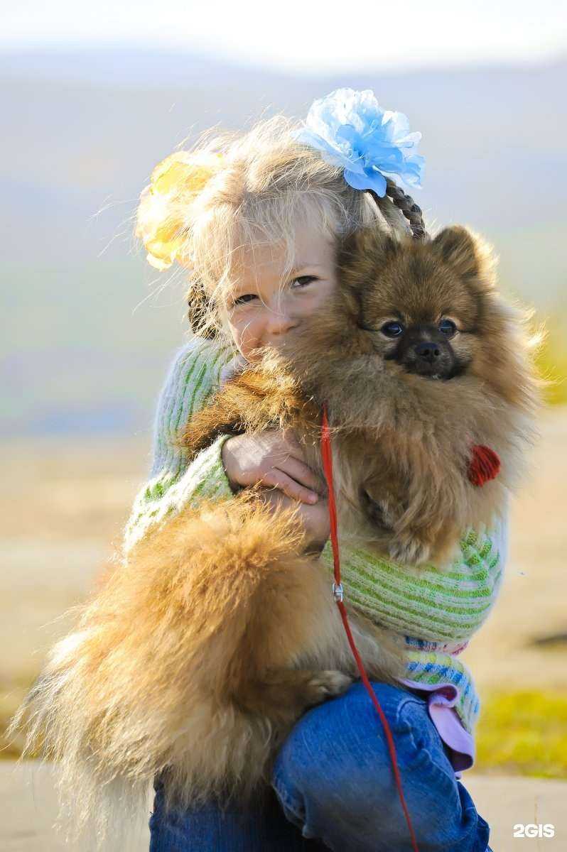 Отзывы на компанию Романов на Мурмане в г. Мурманск c фото