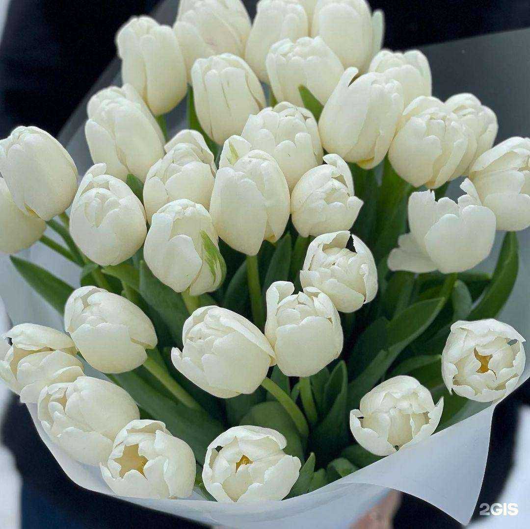 Отзывы на компанию Всё для праздника в г. Саратов c фото