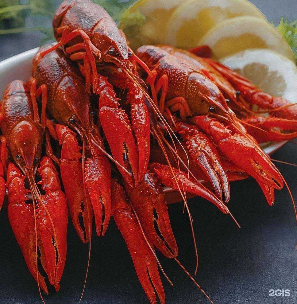 Отзывы на компанию Bon Раки в Краснодаре c фото