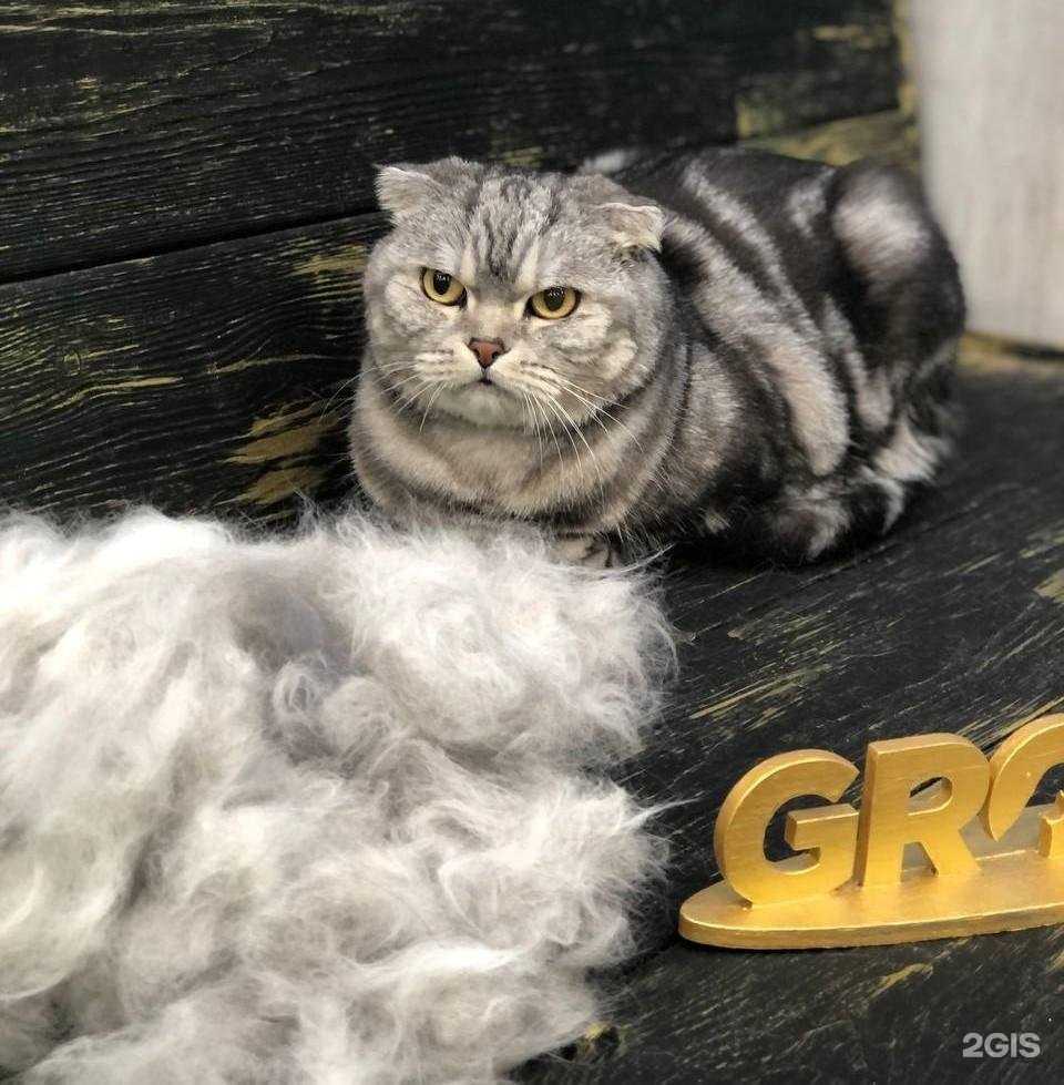 Отзывы на компанию Groom в Туле c фото