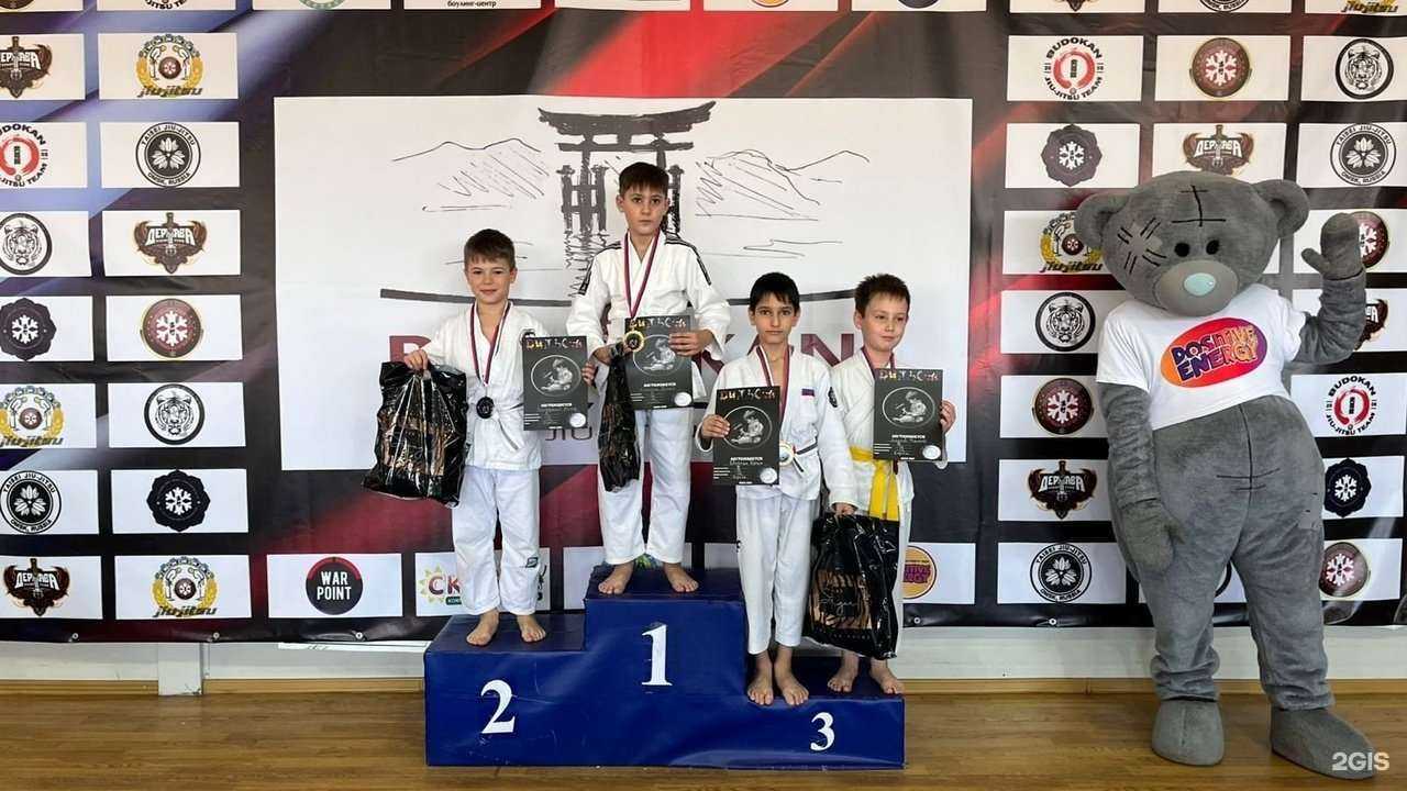 Отзывы на компанию Федерация джиу-джитсу Омской области в Омске c фото