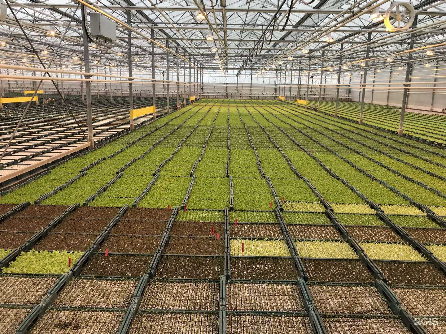 Отзывы на компанию Феникс в Перми c фото