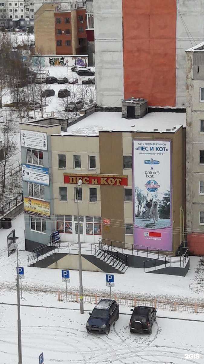 Отзывы на компанию Пес и кот в Сургуте c фото - фотография 2 из 2