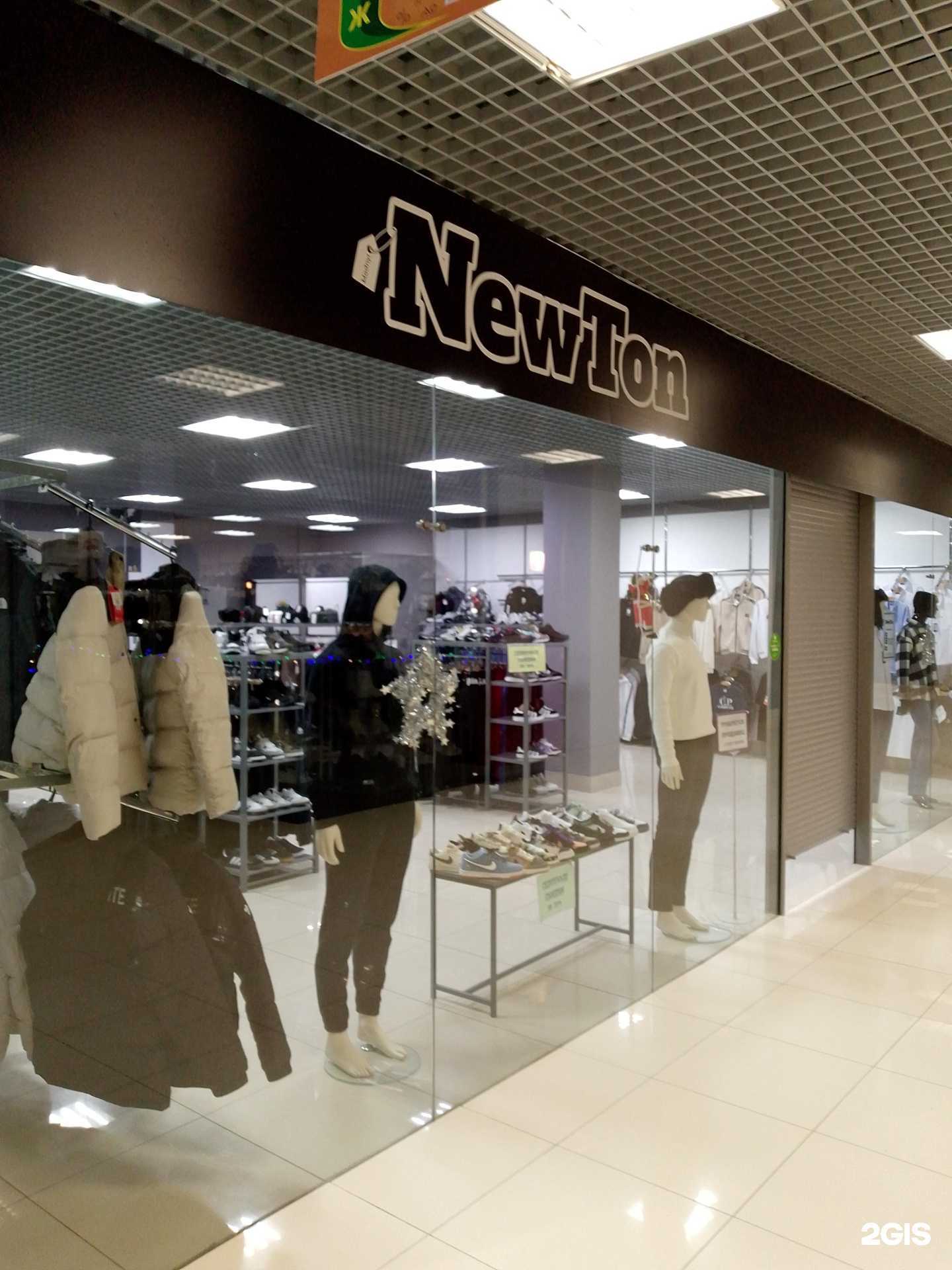 Отзывы на компанию New ton в г. Воронеж c фото