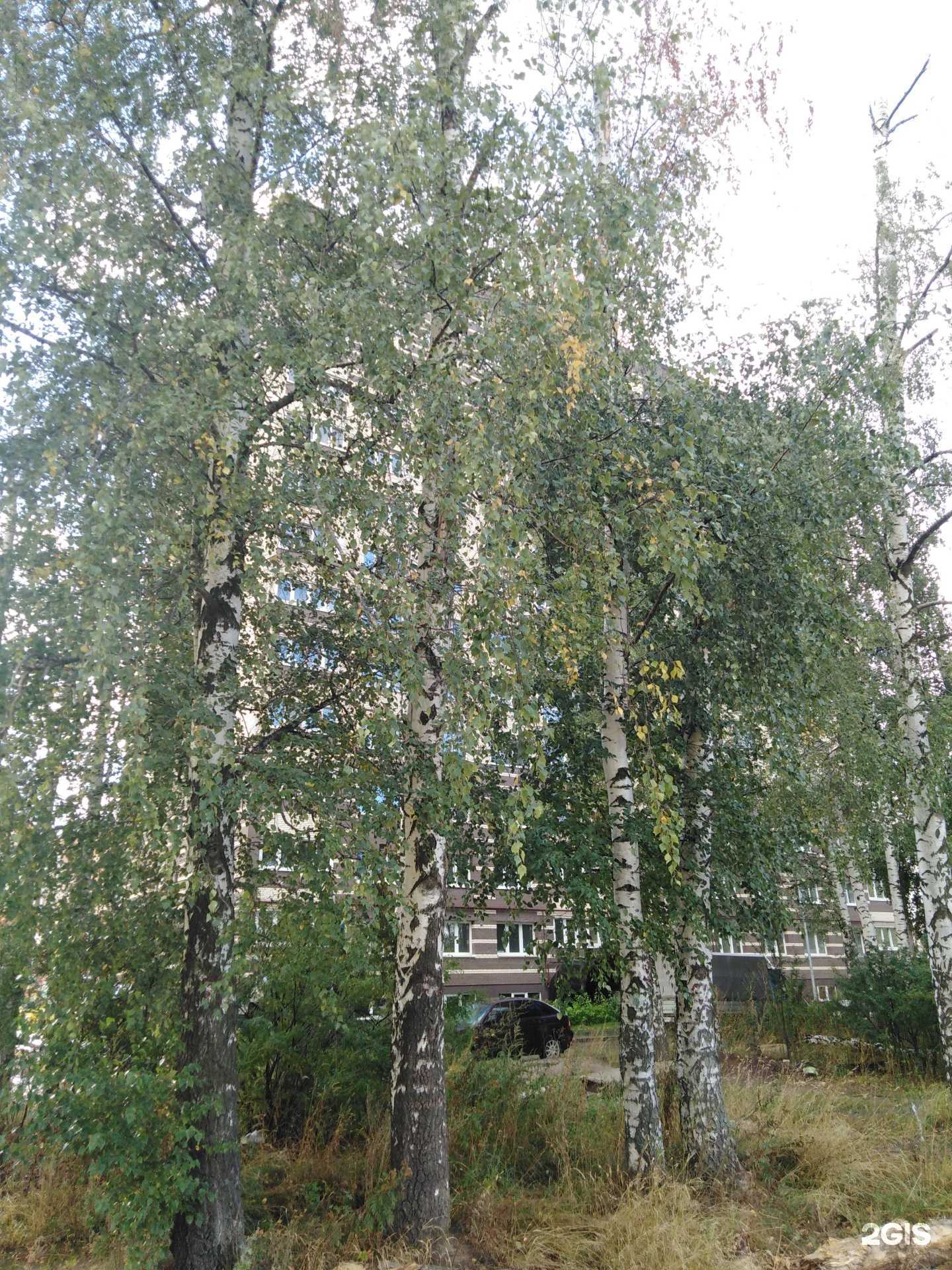 Отзывы на компанию Nail bar в Рязани c фото - фотография 2 из 2