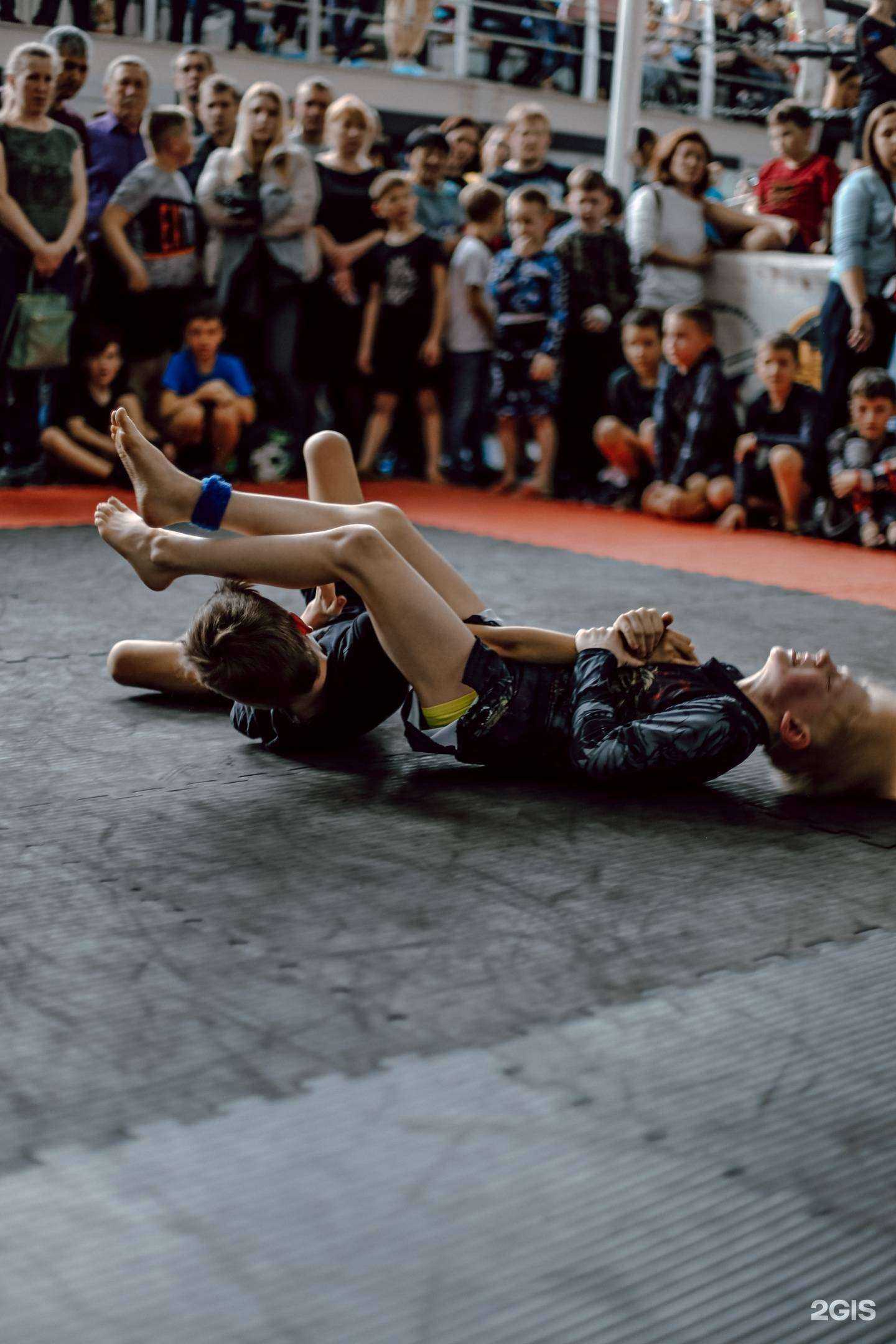 Отзывы на компанию Феникс ММА в Иркутске c фото