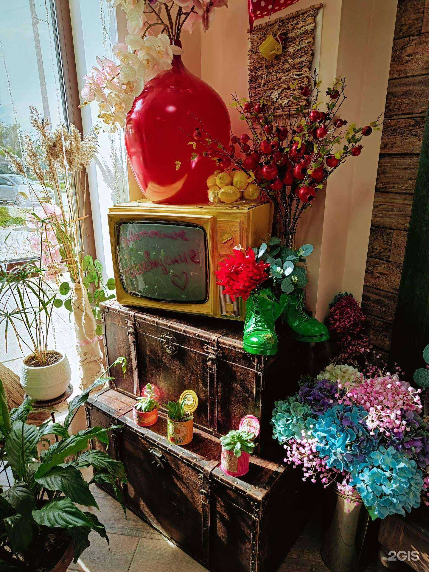 Отзывы на компанию Belle Iris в Канске c фото