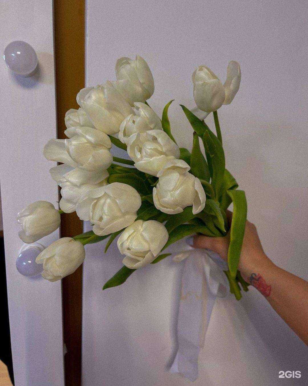 Отзывы на компанию Koroleva fitness в Кстове c фото