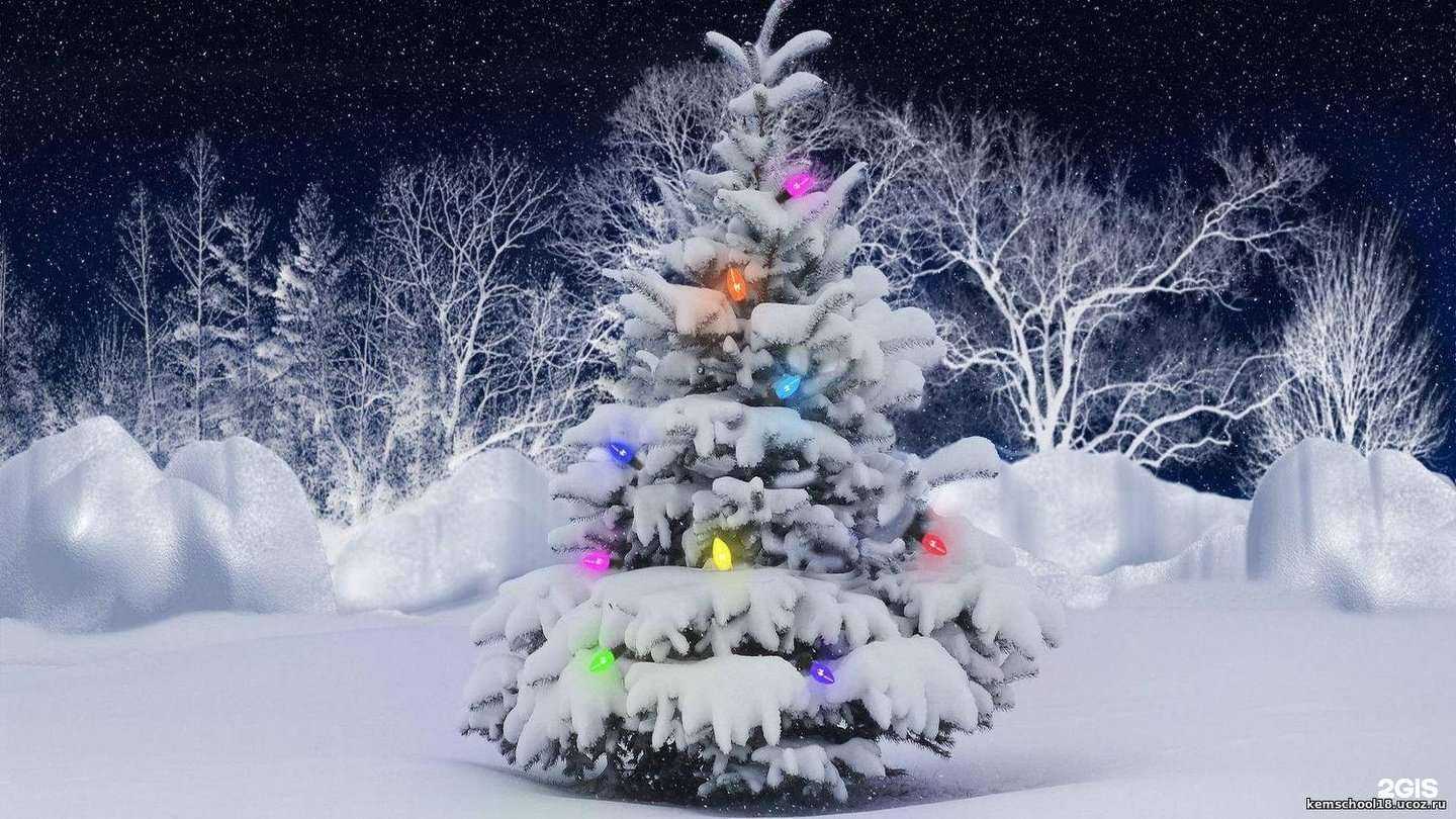 Отзывы на компанию Средняя школа №18 в г. Кемерово c фото