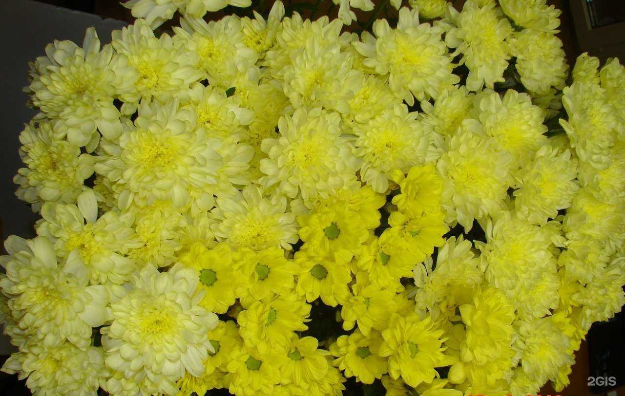 Отзывы на компанию Желание в Екатеринбурге c фото