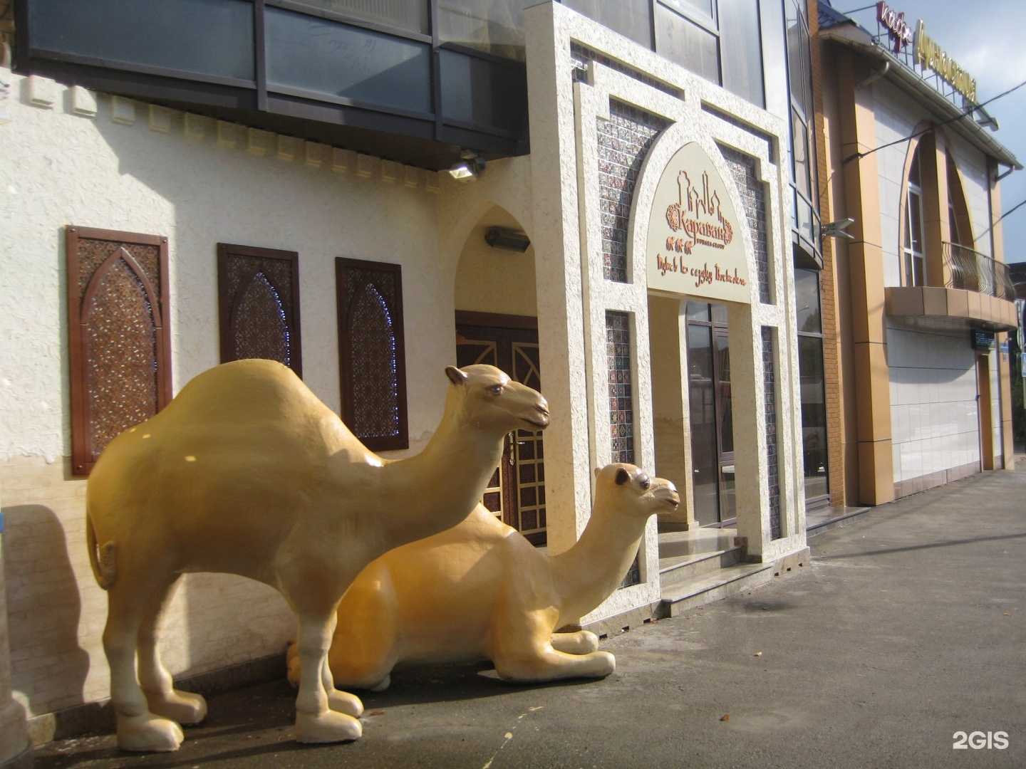 Отзывы на компанию Анор-анор в Краснодаре c фото - фотография 2 из 2