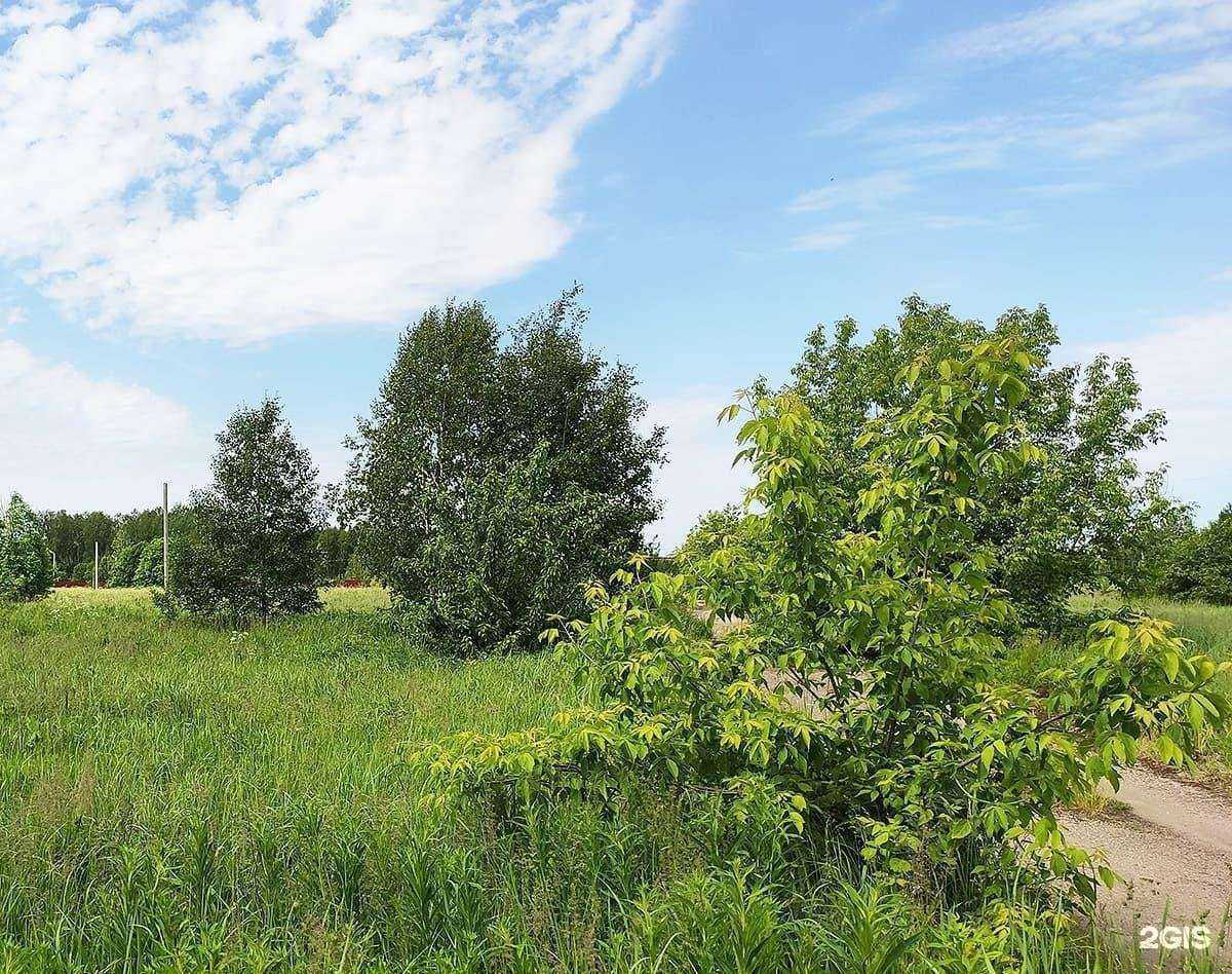 Отзывы на компанию Новое Филимоново в Павловском Посаде c фото