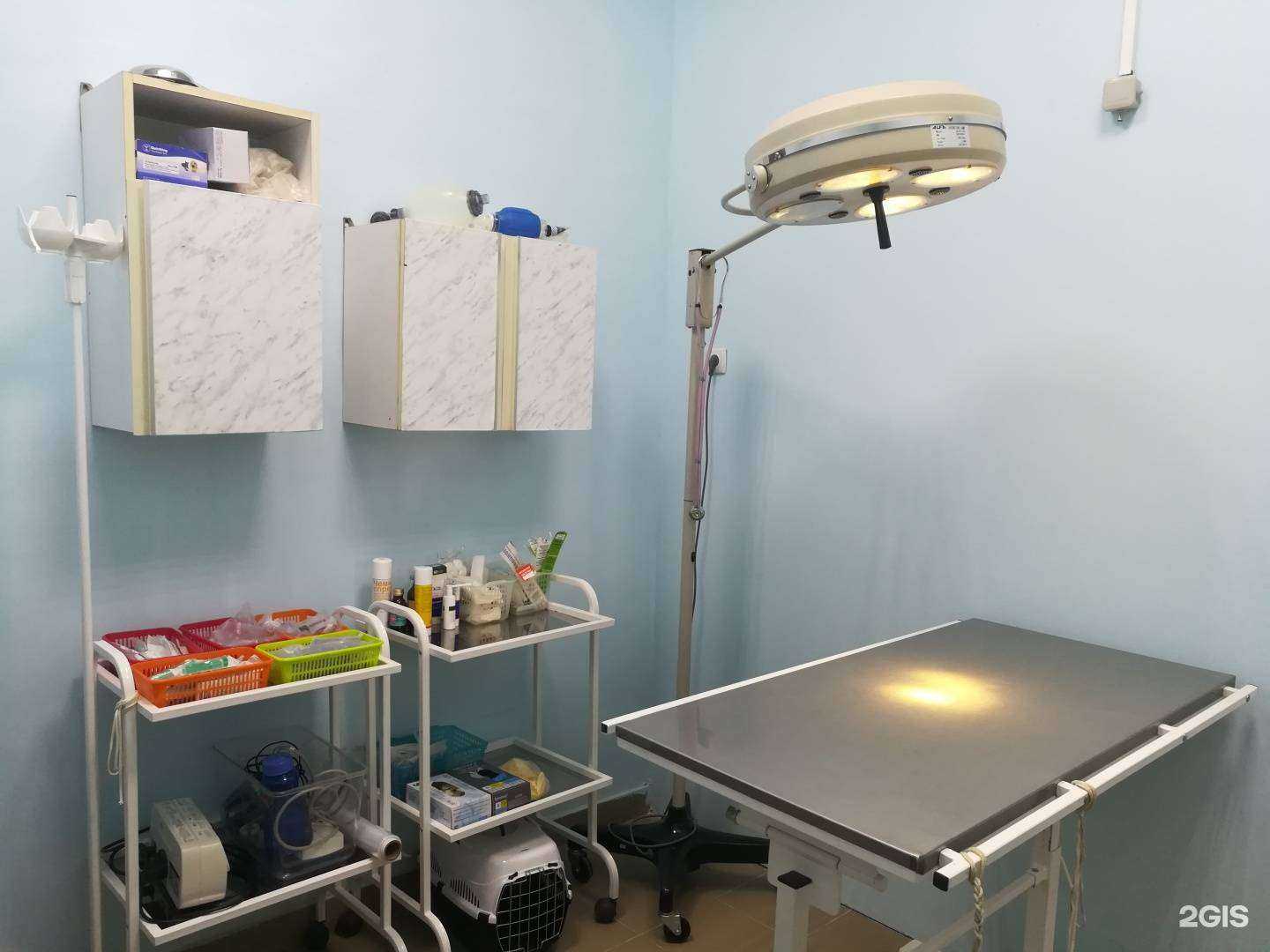 Отзывы на компанию Верный Друг в Иванове c фото