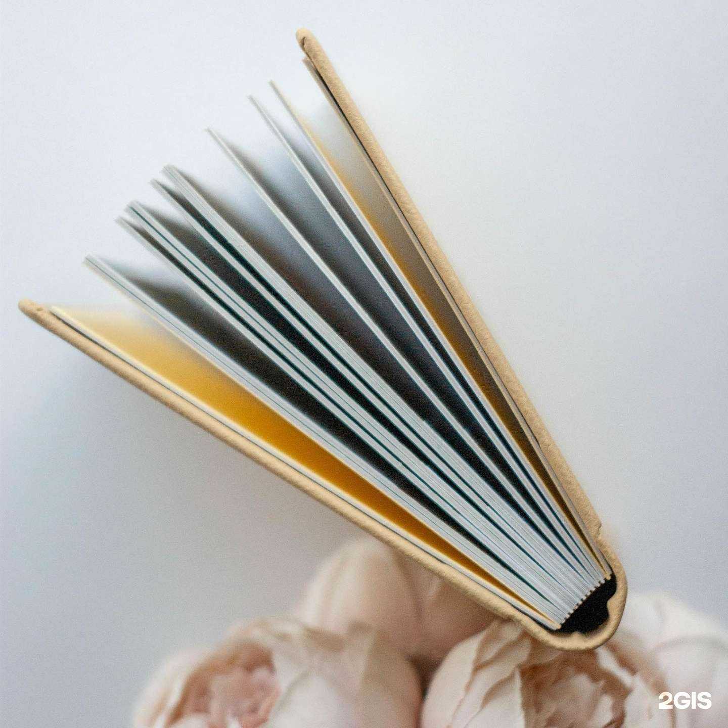 Отзывы на компанию Линия в Челябинске c фото