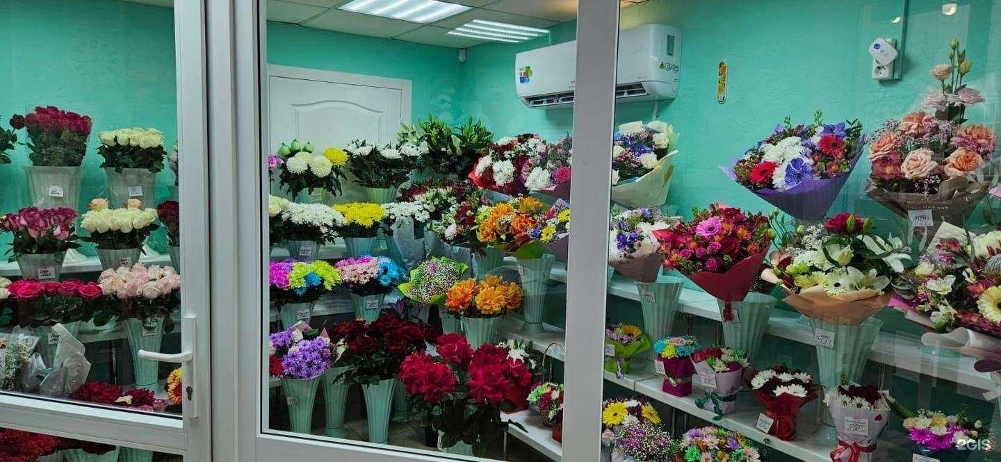 Отзывы на компанию Три ромашки в Екатеринбурге c фото