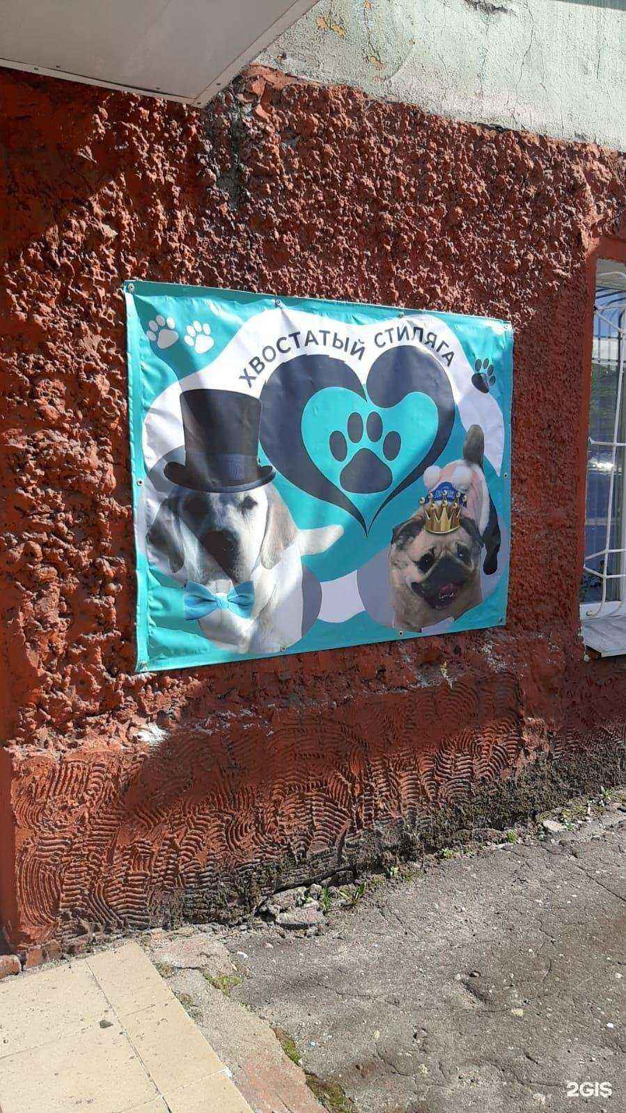 Отзывы на компанию Хвостатый стиляга в Мурманске c фото