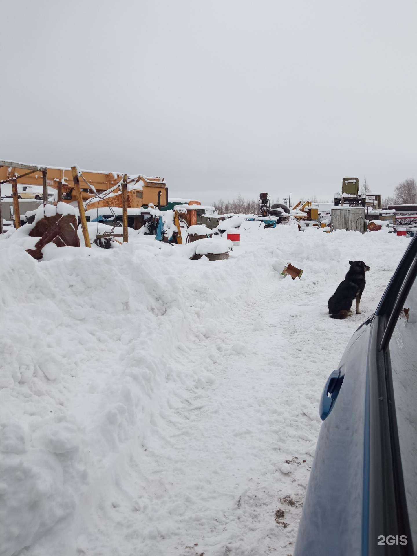 Отзывы на компанию Апекс в Комсомольске-на-Амуре c фото - фотография 2 из 2