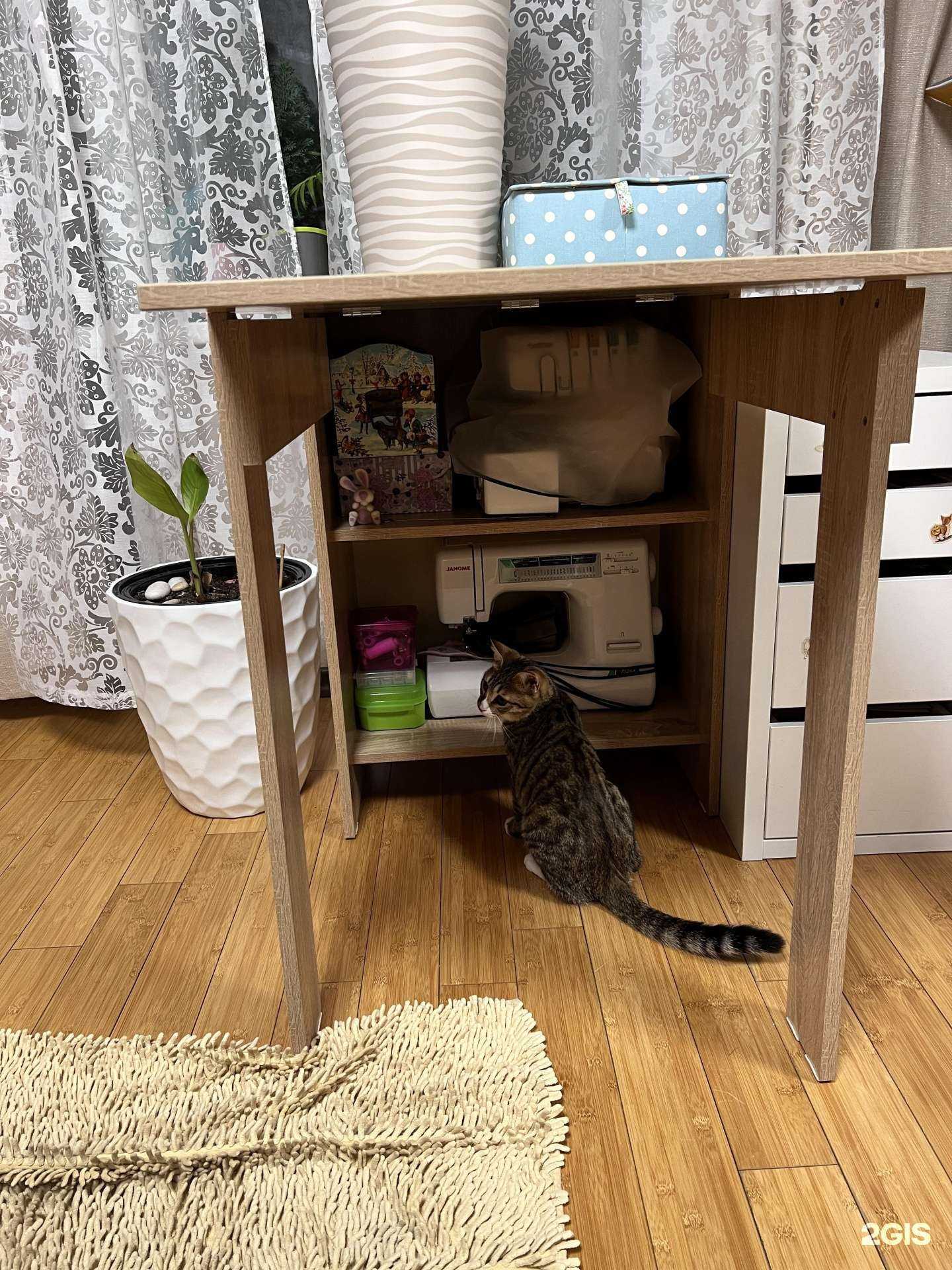 Отзывы на компанию Эргомедикс в Новосибирске c фото