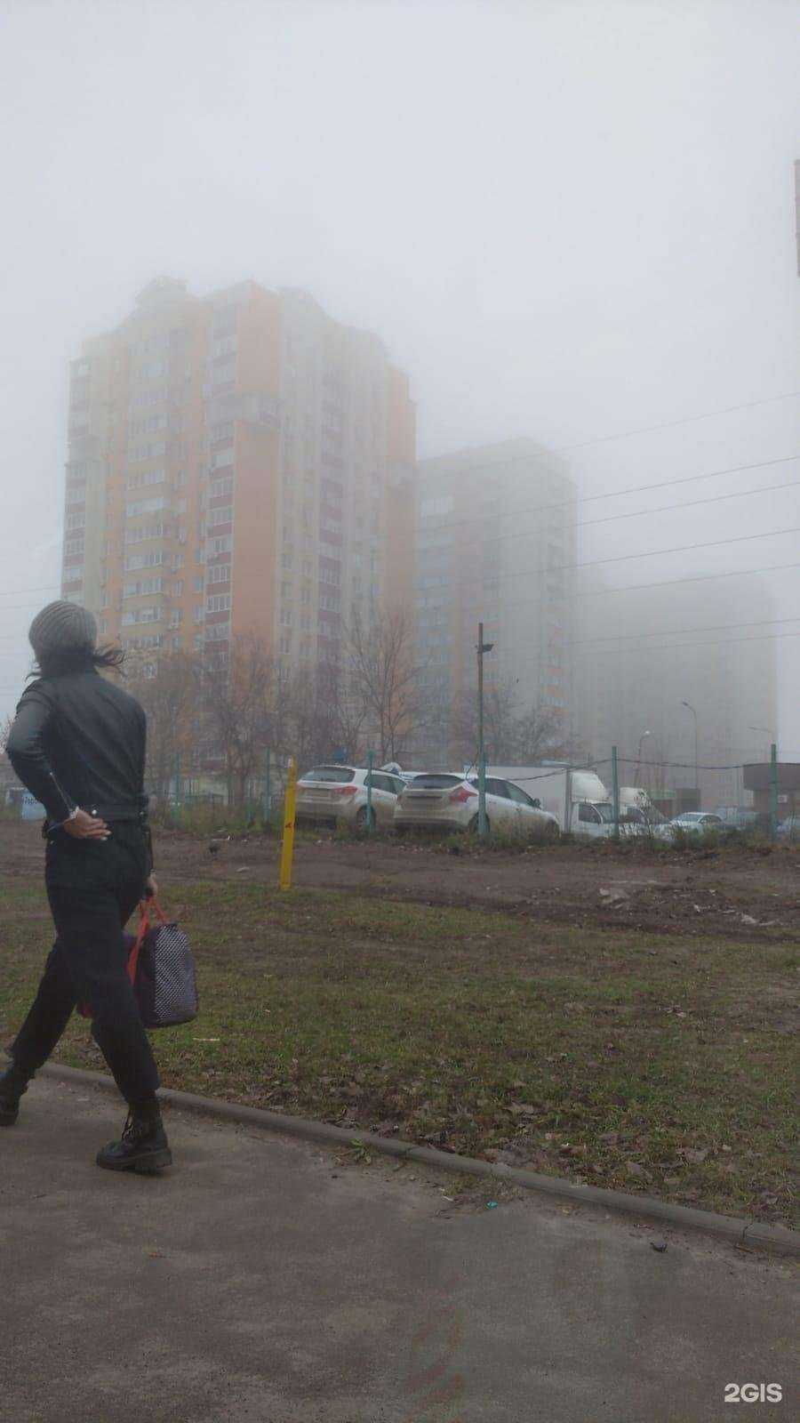 Отзывы на компанию Всезнайка в Ростове-на-Дону c фото - фотография 2 из 2