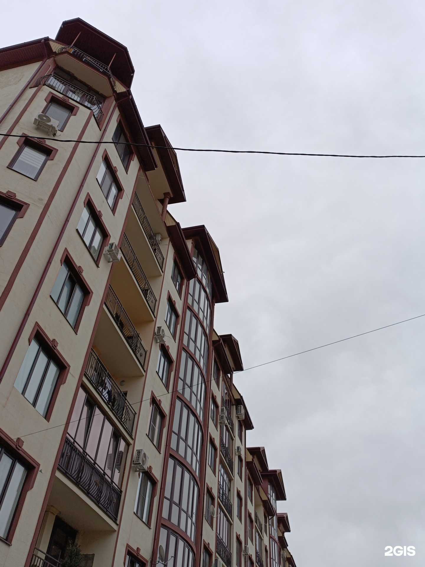 Отзывы на компанию Campus-iq в Нальчике c фото - фотография 2 из 2