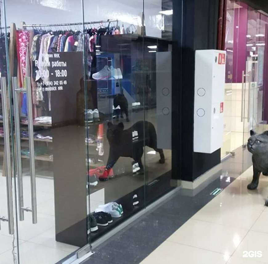 Отзывы на компанию Модник в г. Находка c фото