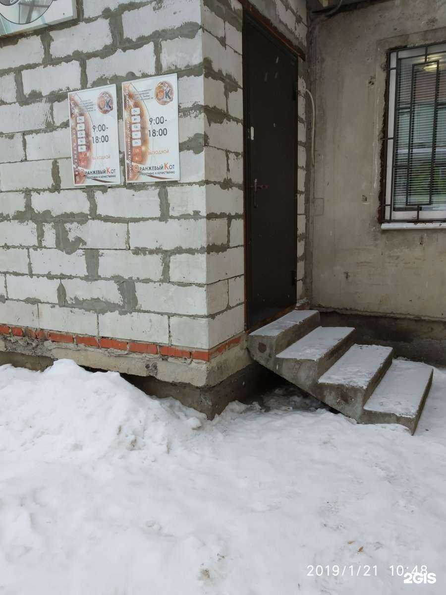 Отзывы на компанию Оранжевый кот в г. Тамбов c фото