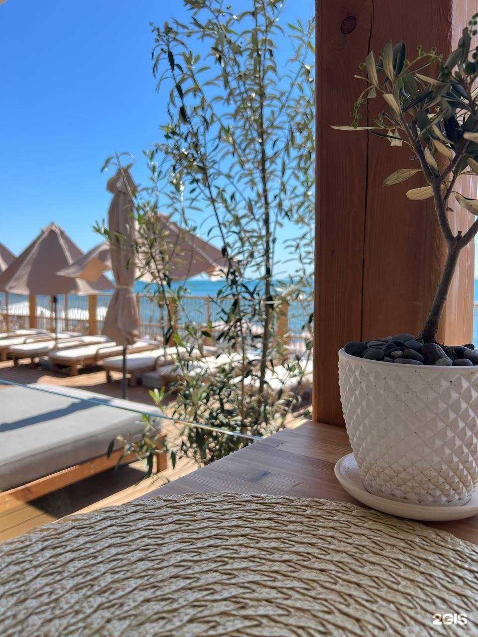 Отзывы на компанию Вкус моря в Сочи c фото